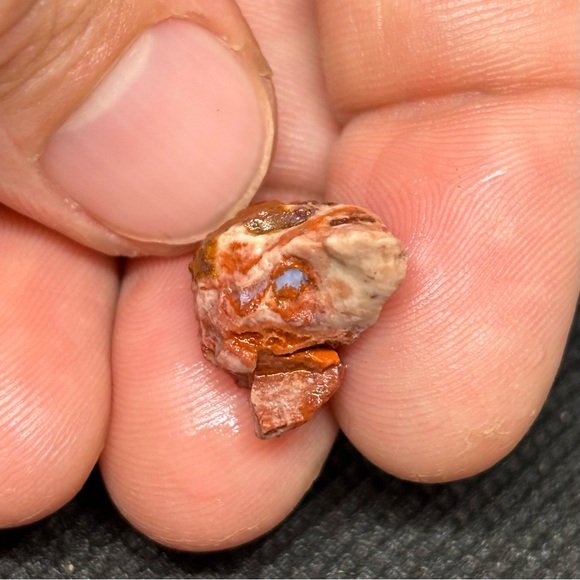 Mexican Fire Wish Bone Opal Specimen With A Fire Red Exterior & Blue Interior - Picture 4 of 13